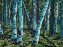 Potawatomi%20Birches (thumbnail)