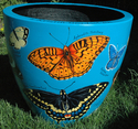 Butterflies%20of%20Wisconsin (thumbnail)