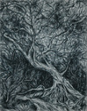 Tree%20of%20Life (thumbnail)