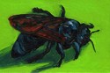 Grenada%20Bee (thumbnail)