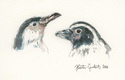 Humboldt%20Penguin%20Portraits (thumbnail)