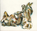 Camels%20Three (thumbnail)