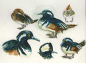 Hooded%20Mergansers%202 (thumbnail)
