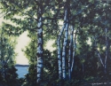 Birches%20in%20Blue (thumbnail)
