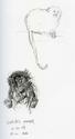 Goeldi%20Monkey%20Studies (thumbnail)