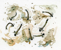 Mosquito%20Larva (thumbnail)