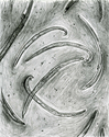 Nematode%20Arrangement (thumbnail)