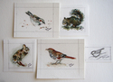 Mini%20Paintings%20for%20Paint%20Box%20Gallery (thumbnail)
