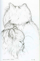 Seymour%20Back%20and%20Profile (thumbnail)