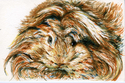 Harry (thumbnail)