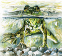 Frog%20with%20Missing%20Foot (thumbnail)