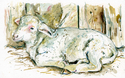 Lamb%20at%20Rest%20%28Old%20World%20Wisconsin%29 (thumbnail)