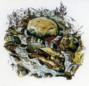 Alluvial%20Fan%20Area%20Rocks%20and%20Water (thumbnail)