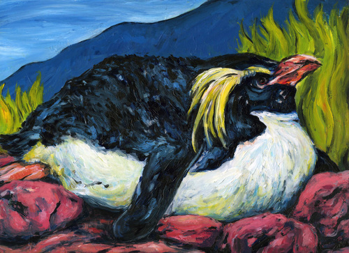 Maggie%20Nesting%2C%20Rockhopper%20Penguin (large view)