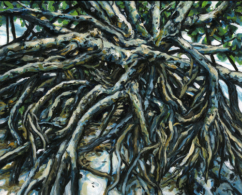 Root%20Strength%20%28Mangrove%20Trees%29 (large view)