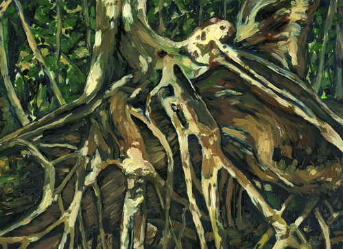 Strangler%20Fig%20Roots (large view)