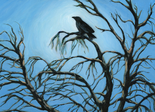 Raven%27s%20Spirit (large view)
