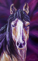 Mustang%20Pride (thumbnail)