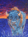 Sunset%20Buffalo (thumbnail)