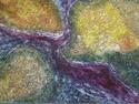 Kate Higley - Cells IV