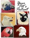 Painting--Acrylic-AnimalsYour Pet's Portrait