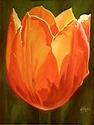 Painting-Tulip