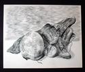 Drawing--Paper-Still LifeWelcome Home