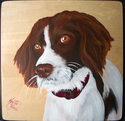 Other-Springer