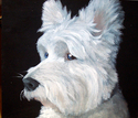 Other-Terrier