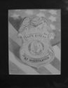 Drawing-Badge Drawings sbi
