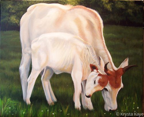 Painting-Wildlife-Donna's Zebu