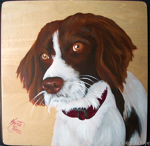 Other-Springer