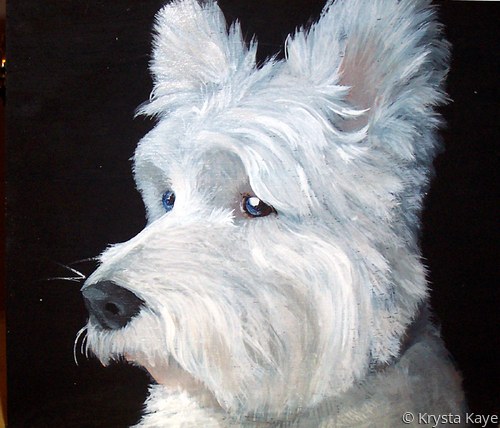 Other-Terrier