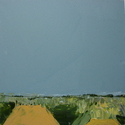 fields (thumbnail)