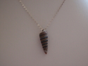 Seashell (thumbnail)