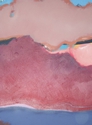%22Untitled%22%20 (thumbnail)