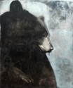 Ursa Major