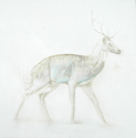 Kim Kimbro - Animals Painting deer, animal, wildlife, kim kimbro, los angeles, contemporary art, painter, oil on canvas - Animals Painting