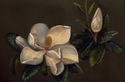 Magnolias (thumbnail)