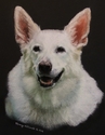 Kaila (thumbnail)