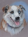 Ms%20Maggie%20Blue%20Eye (thumbnail)