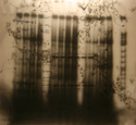 thoughts/memory/light box no4 detail thoughts%2Fmemory%2Flight%20box%20no4%20detail (thumbnail)