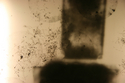 thoughts/memory/light box no5 detail thoughts%2Fmemory%2Flight%20box%20no5%20detail (thumbnail)
