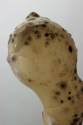 Kiss%20no1 (thumbnail)