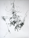 Gesture%20drawing%20of%20a%20specimen%20no%2017 (thumbnail)