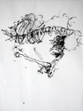 Gesture%20drawing%20of%20a%20specimen%20no%2010 (thumbnail)