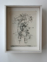 specimen%20no%209721 (thumbnail)
