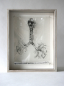 specimen%20no%209722 (thumbnail)