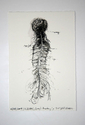 specimen%20drawing%2C%2011%3A25%20AM (thumbnail)