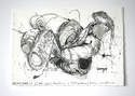 specimen%20drawing%2C%2011%3A22%20AM (thumbnail)
